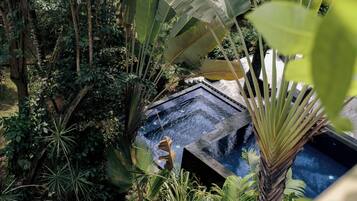 A pool surrounded by dense tropical foliage, including large banana leaves and palm trees.