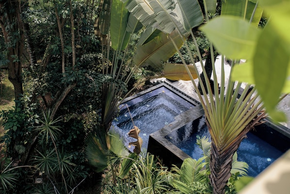 Una piscina rodeada de exuberante follaje tropical, con hojas de plátano grandes y palmeras.