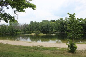 Una vista serena de un lago con una playa de arena, abundante vegetación y árboles al fondo.