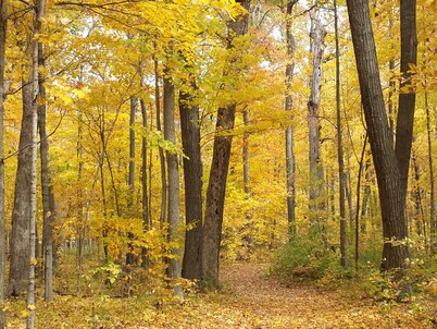 Family and pet friendly house in beautiful Sandy Knoll County Park!
