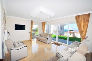 液晶电视、壁炉、DVD 播放器