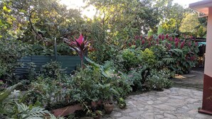 A garden with various plants and a stone pathway. - Casa Mirian (Candelaria)