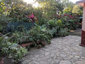 Ein Garten mit verschiedenen Pflanzen und einem Kiesweg.