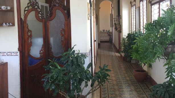 A hallway with patterned flooring, a wooden door with glass panels, and potted plants. - Casa Colonial Center (Cienfuegos)