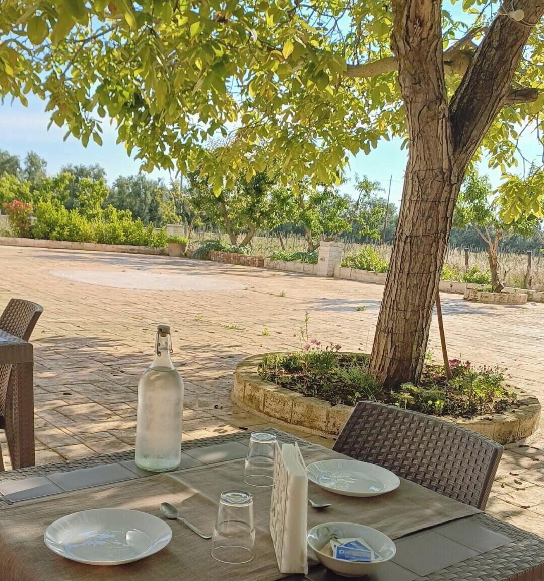 包含每日自助早餐