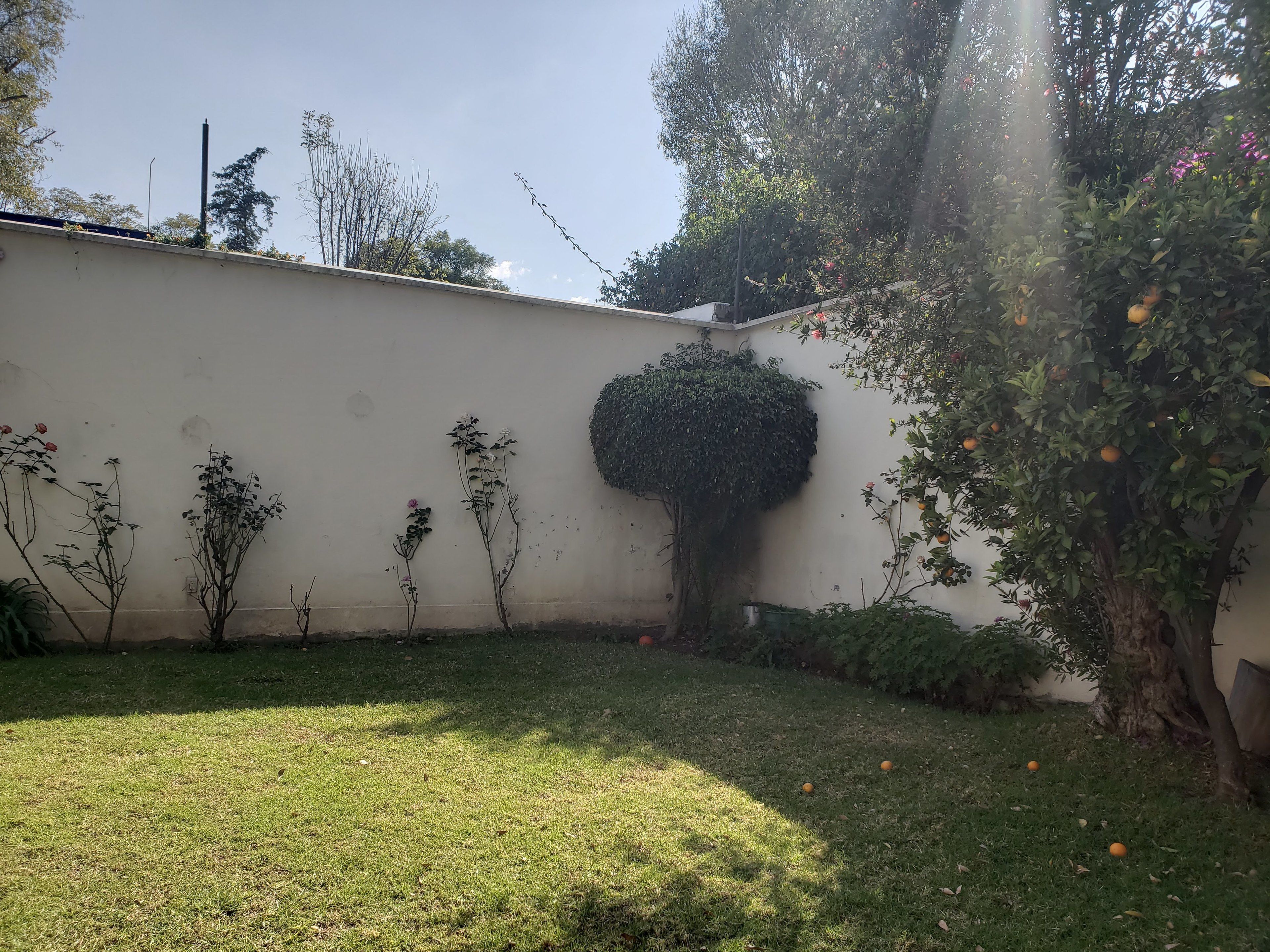 Foto - Singular Coyoacán Pepper My Love!