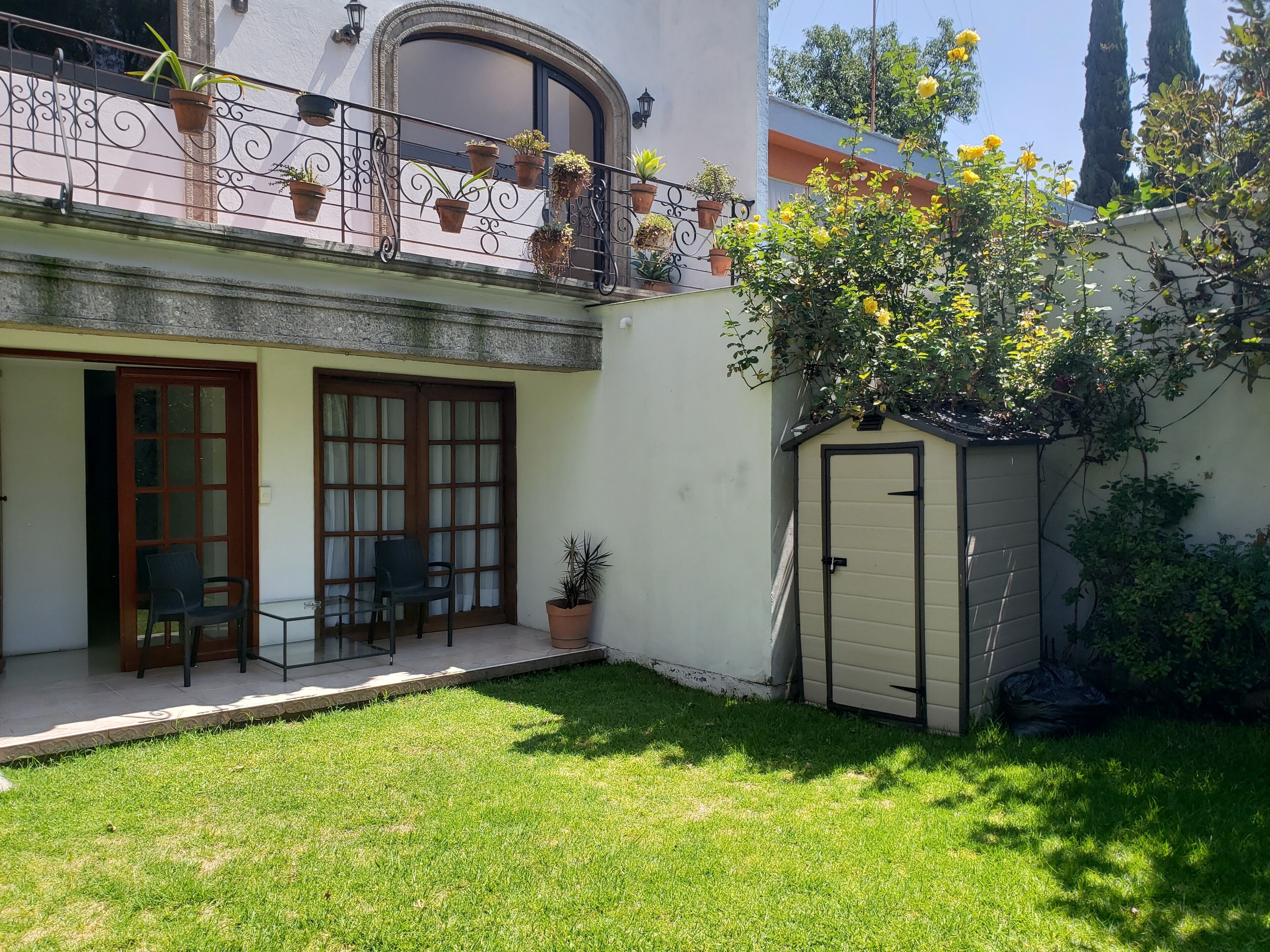 Foto - Singular Coyoacán Pepper My Love!