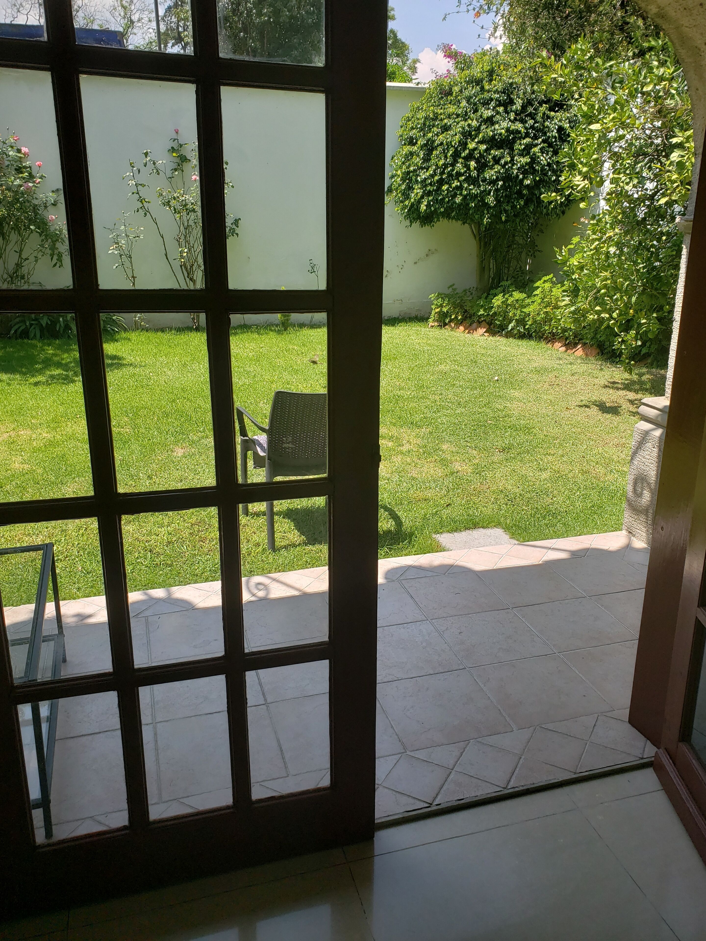 Foto - Singular Coyoacán Pepper My Love!