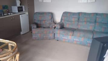 TV, DVD player, books, video library
