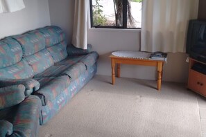 TV, DVD player, books, video library