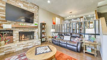 Télévision, cheminée, lecteur de DVD, livres