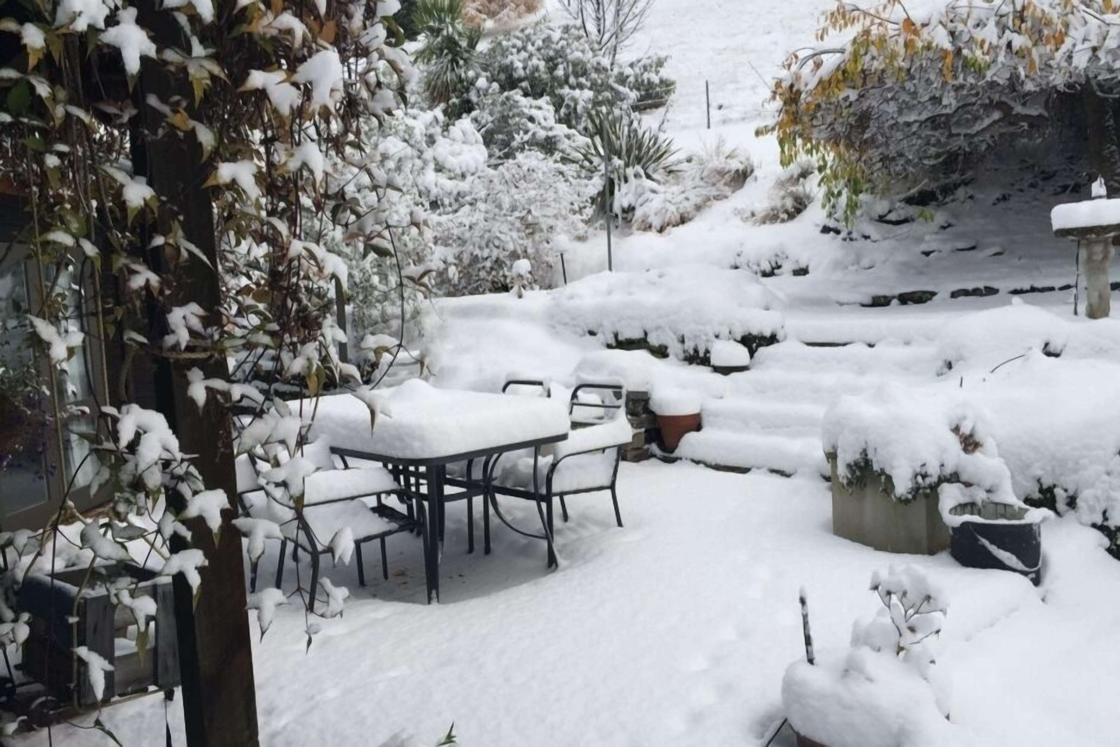 Top 10 Pet & DogFriendly In Queenstown, New Zealand