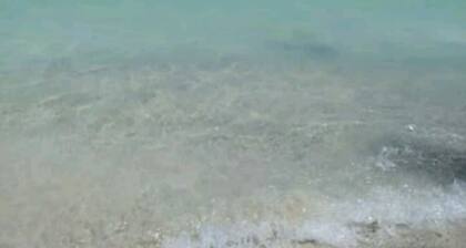 Paradiesheim Jamaika