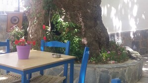 Une table et des chaises placées sous un arbre aux fleurs rouges, un mur de pierres et un haut-parleur en arrière-plan.