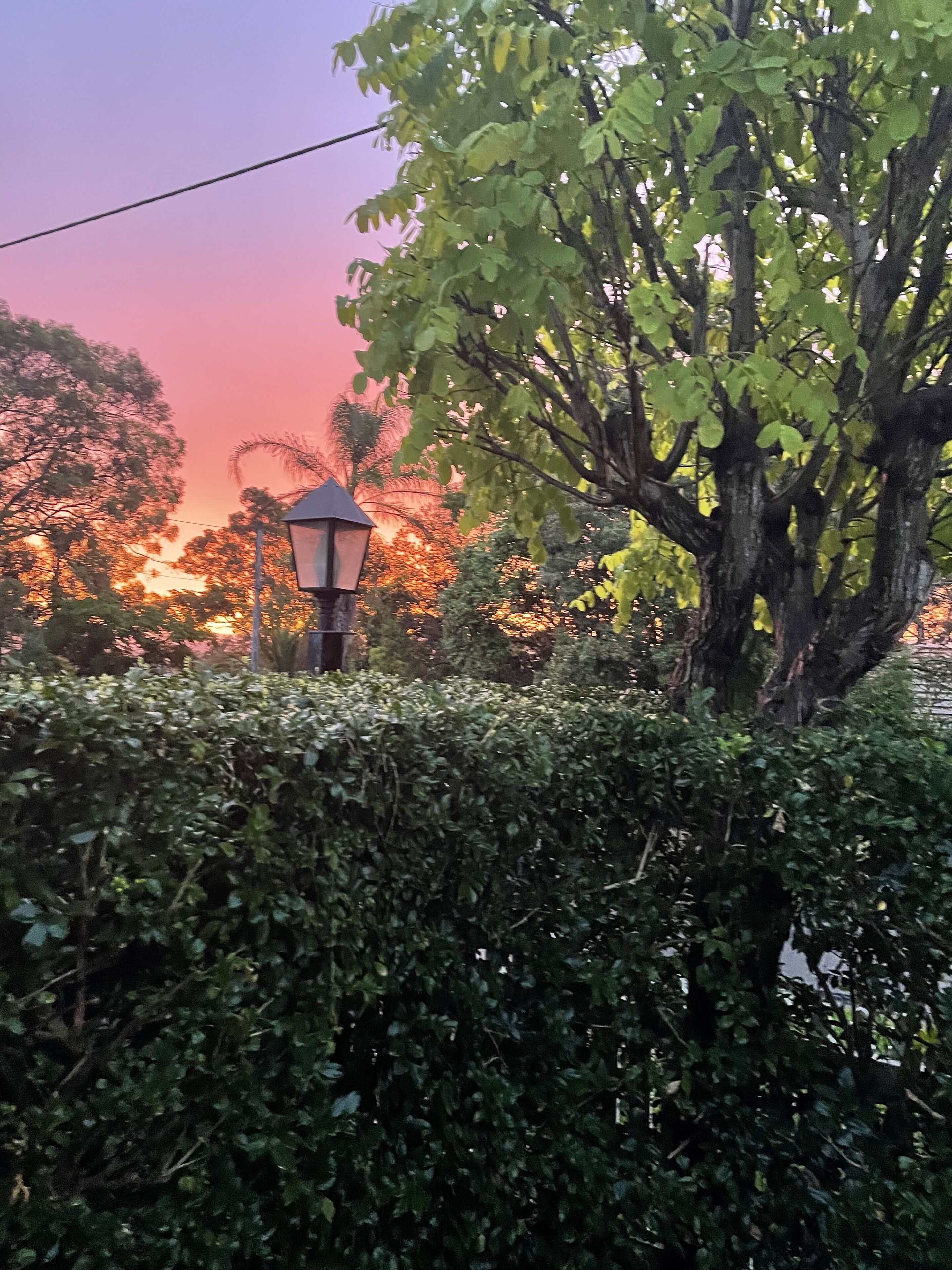 'Tara-Lee': A Step Back in Time... — image 24