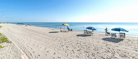 On the beach, sun-loungers, beach towels