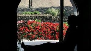 Vista a través de una ventana circular que muestra un muro de piedra, un macizo de flores rojas y el perfil de una persona.