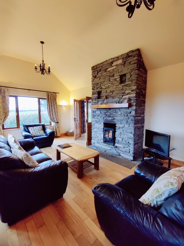 TV, fireplace, DVD player, books