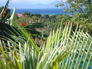 Alberca