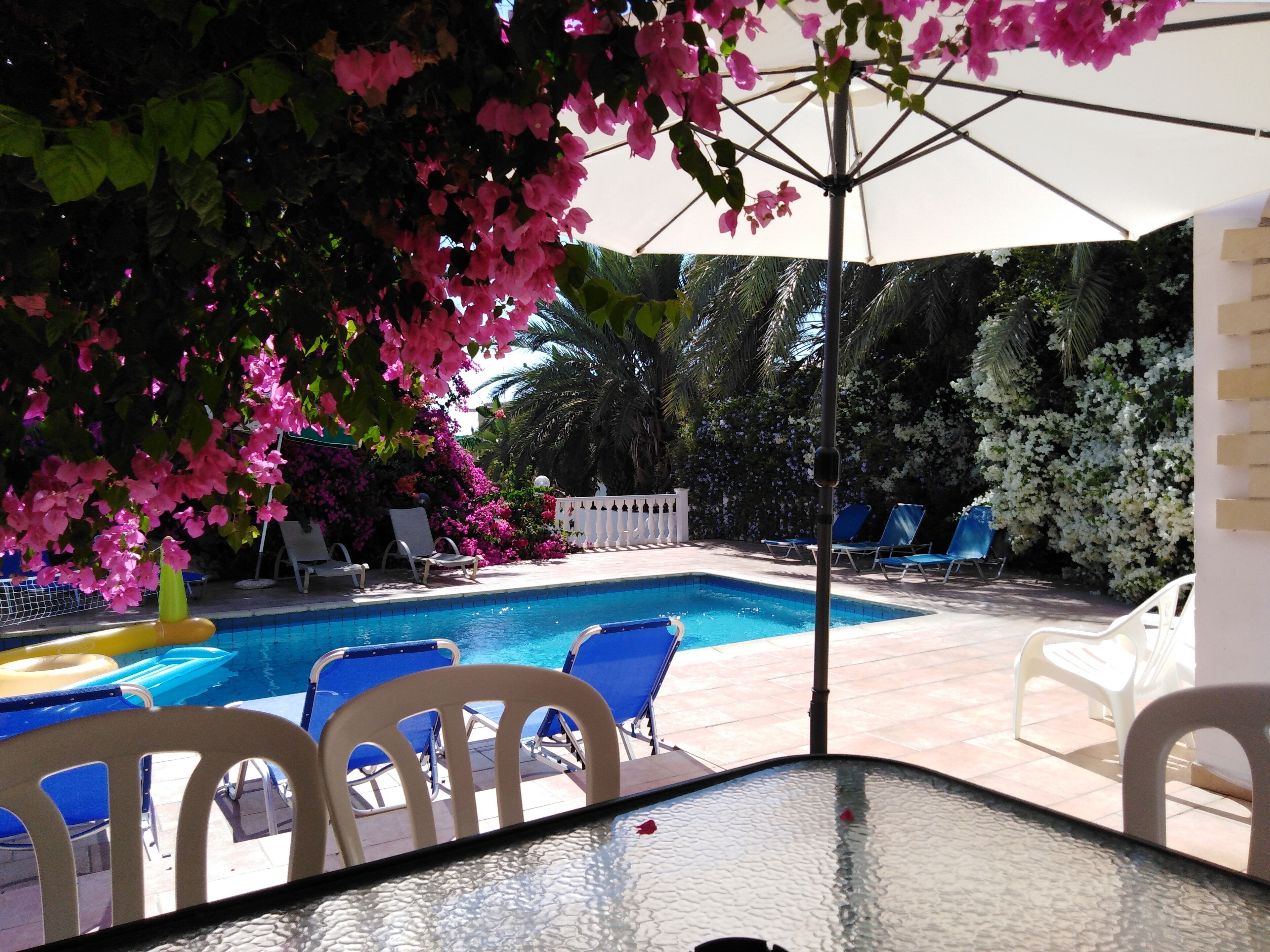 Piscina externa