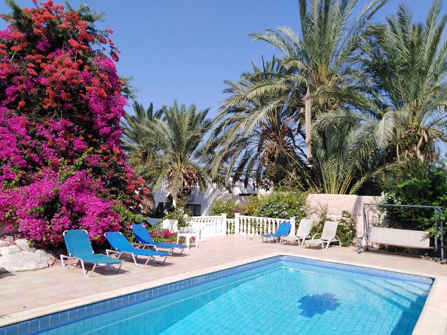 Utomhuspool