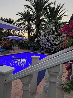 Une piscine à l’eau bleutée, entourée de palmiers et de plantes en fleurs.