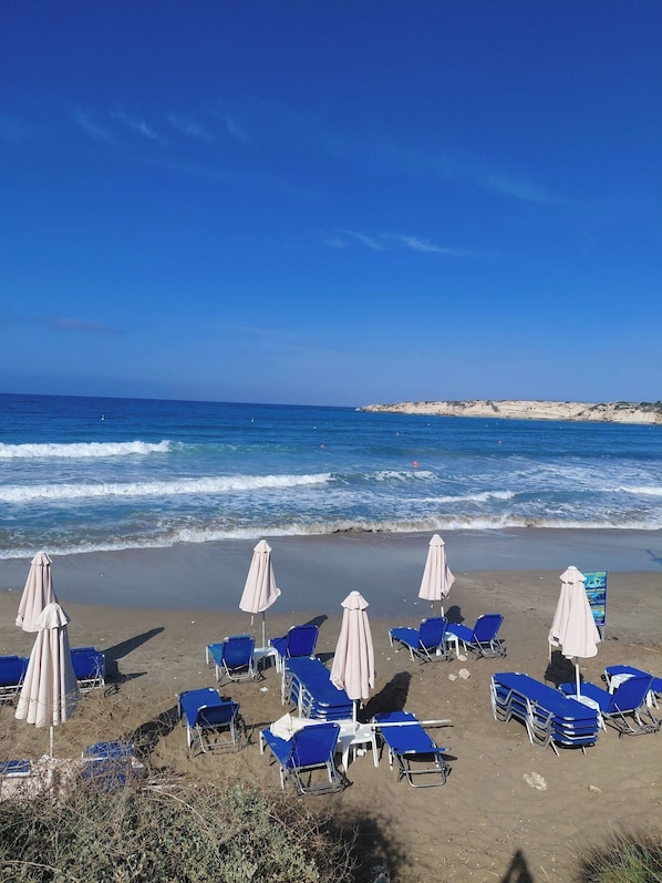 Une plage bordée de rangées de chaises longues bleues et de parasols blancs, une étendue de sable et l’océan en toile de fond.