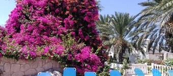 Coral  Cypria  villa! Car not essential ,  ideal  for  relaxing  family  holiday