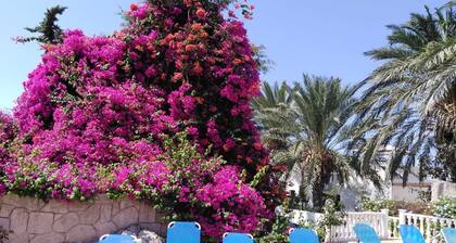 Coral Cypria Villa! Auto nicht unbedingt erforderlich, ideal für einen erholsamen Familienurlaub