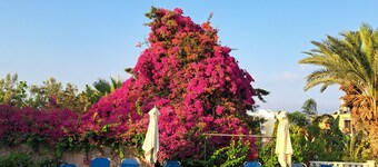 Coral Cypria villa! Auto niet essentieel, ideaal voor een ontspannen vakantie met het gezin