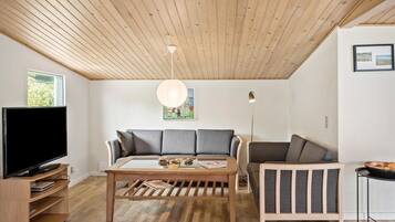 Televisión, chimenea, reproductor de DVD y estéreo