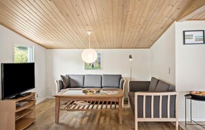 電視、壁爐、DVD 播放機、音響