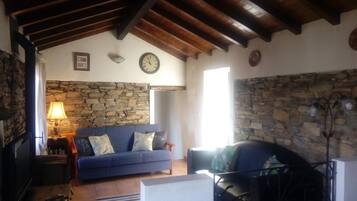 Una televisión, una chimenea, un reproductor de DVD, libros