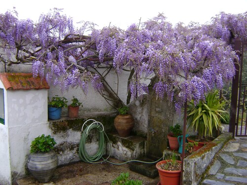 Pretty holiday cottage with private pool, fantastic views sleeps 6, Arganil 7kms