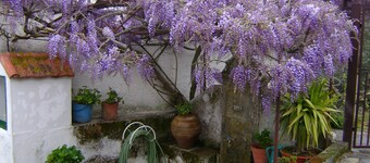 Pretty holiday cottage with private pool, fantastic views sleeps 6, Arganil 7kms