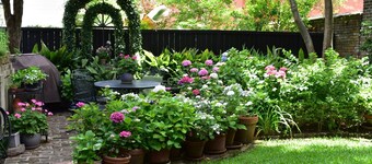 Charming Kitchen House with Beautiful Garden