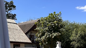 Una piscina con borde de azulejos, un banco y una pequeña estructura blanca, probablemente una fuente de agua, en un patio trasero con una casa de techo de paja y un árbol.