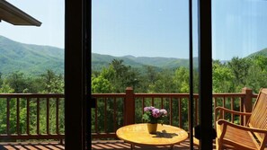 Interior - 5 Star Seclusion w/Panoramic Mtn Views! 5 Kings! Hot Tub & Swimming Pool Access! (Sevierville)