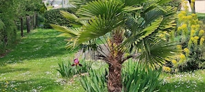 Terrain de l’hébergement 