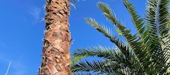 All - in! Villa with view, pool, quiet and private. Last minutes in May