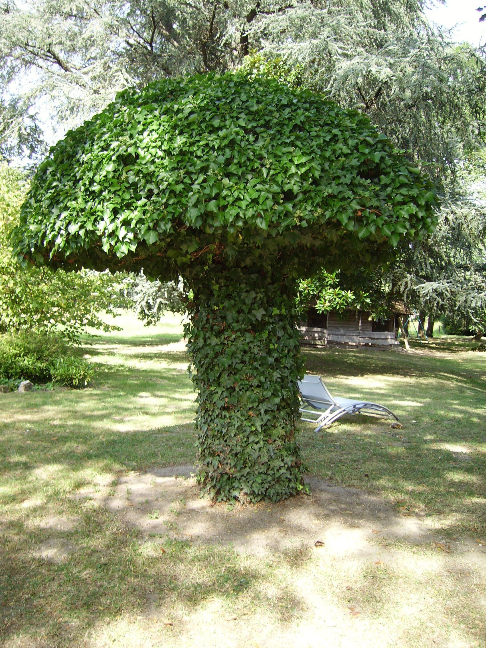 Àrea exterior de l'allotjament