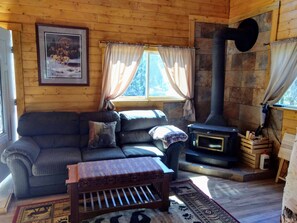 Een televisie, een dvd-speler en een filmbibliotheek