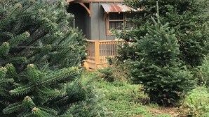 Une cabane rustique avec un toit à forte pente, un revêtement extérieur en bois et une petite fenêtre.
