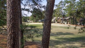A golf course with pine trees in the foreground and houses in the background.