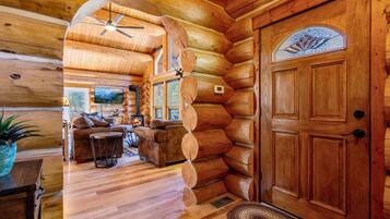 TV connectée, cheminée, lecteur de DVD, livres