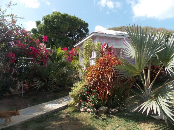 Jardines del alojamiento