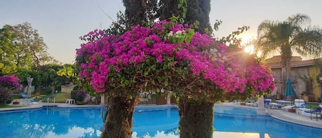 Junior fyrbäddsrum - 2 dubbelsängar - utsikt mot poolen | Värdeförvaringsskåp på rummet, skrivbord och arbetsyta för laptop