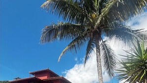 Une villa rouge avec une piscine carrelée, des palmiers et un ciel d’un bleu éclatant.