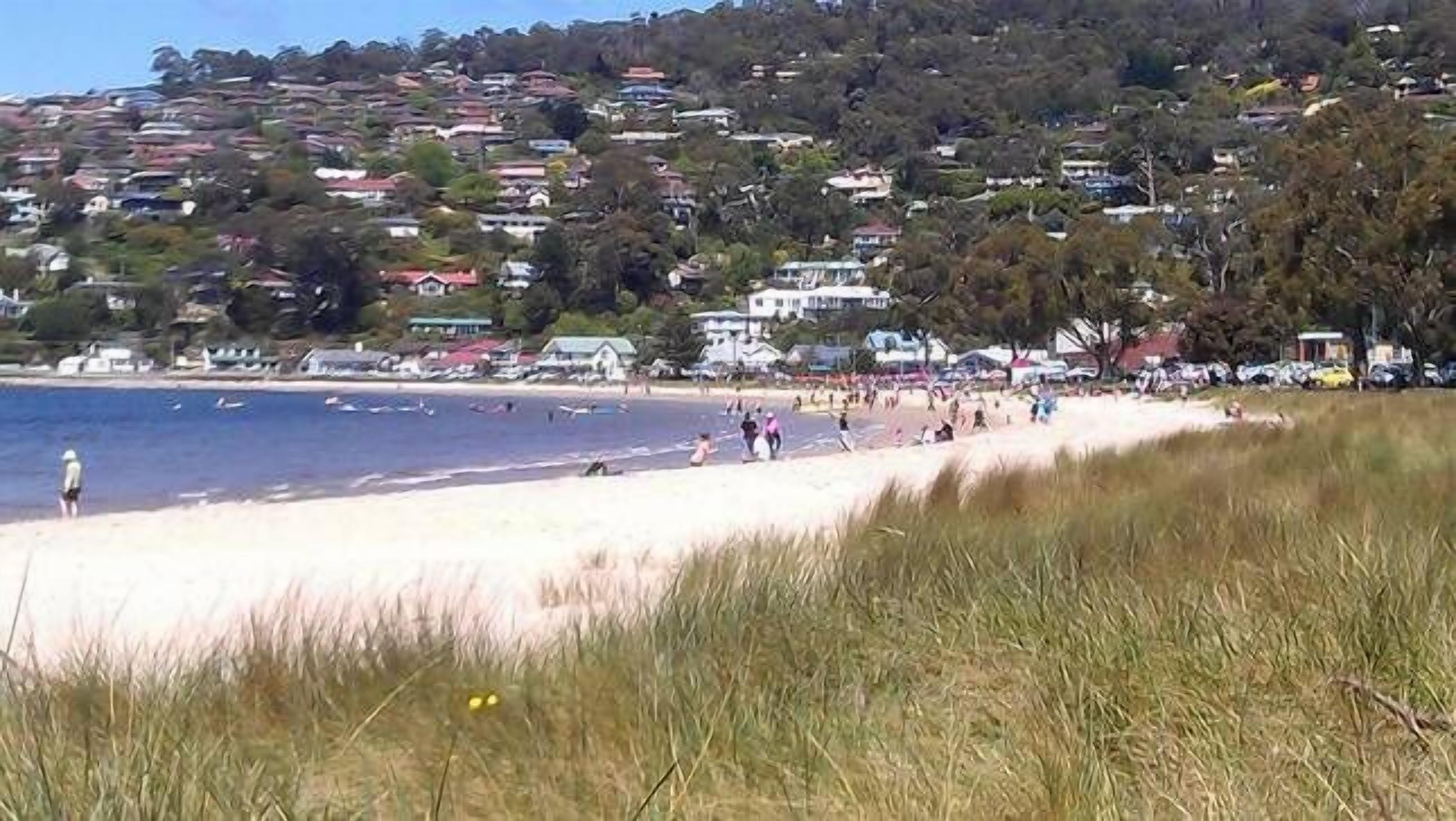 A beach with people, a clear sky, and houses in the background.