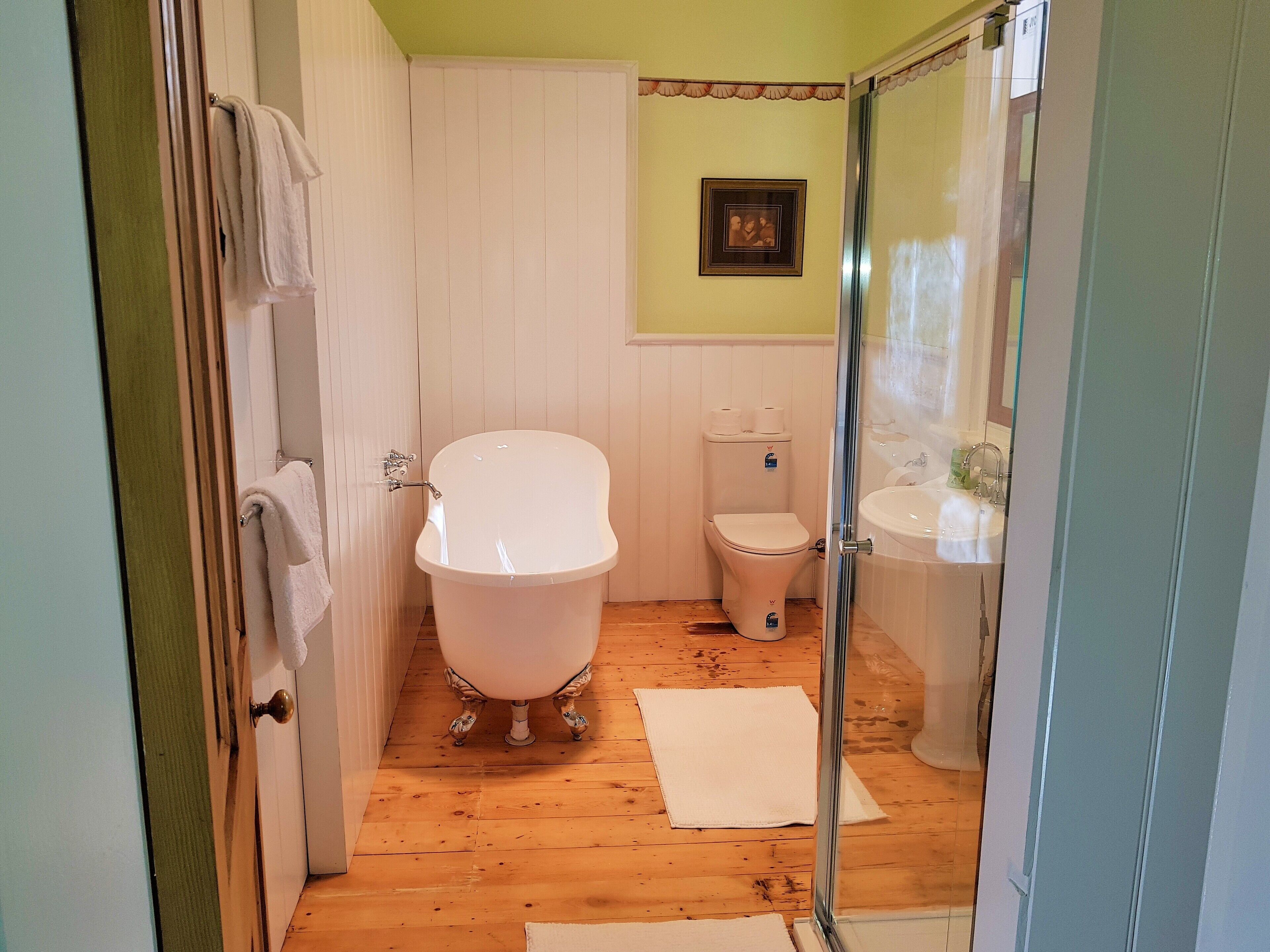 Bathtub, hair dryer, towels, soap